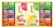PS54-09 炭酸力の薬用入浴剤ｾｯﾄ